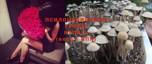 а пвп мука Абдулино