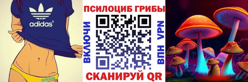 наркота  Покачи  Псилоцибиновые грибы мицелий 